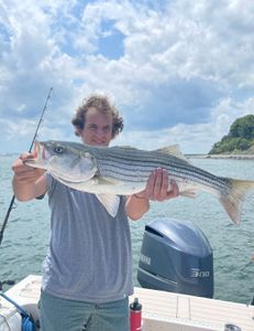 Striped bass fishing photo from MA