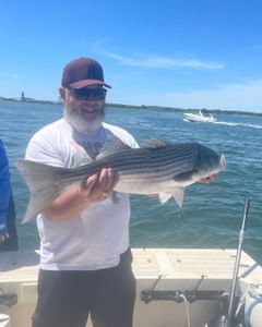 A striped bass caught while fishing in MA