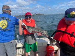 Striped bass caught fishing in MA