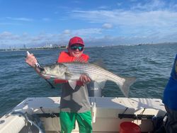 Striped bass fishing in MA