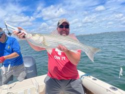 Striped bass caught fishing in MA
