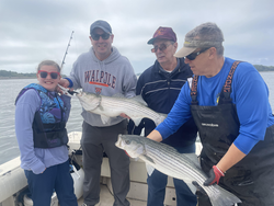 Striped bass blasted with deep sea jigging and trolling light tackle!