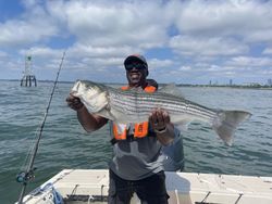 Striped bass caught on fishing tour in MA