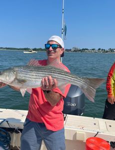 Striped bass caught while fishing in MA
