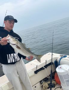 Striped bass caught on fishing tour in MA