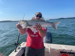 Striped bass fishing in MA
