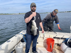 Reeled in a 13-inch striped bass with a variety of techniques on a partly cloudy day!
