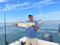 Striped bass caught in Hingham