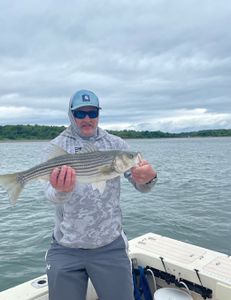 Striped bass, 25 inches, caught in Hingham