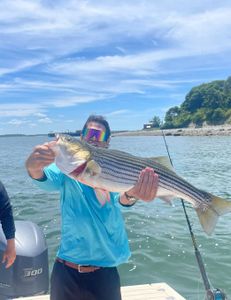 Striped bass caught in Hingham