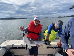 Striped Bass success with deep sea jigging in Hingham!