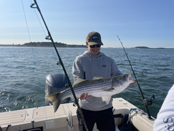 Huge Striped Bass reeled in while deep sea fishing!