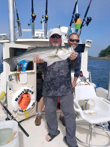 Striped bass caught near Hingham