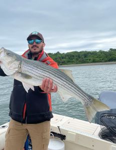 Striped bass caught during fishing tour in Hingham