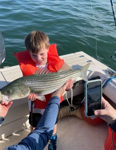 Striped bass caught in Hingham