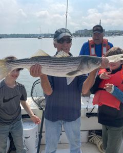A striped bass fishing catch in Hingham