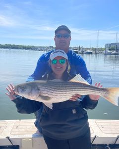 Striped bass fishing in Hingham
