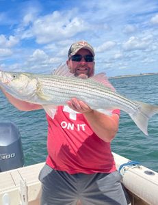 Striped bass caught by angler in Hingham, Massachusetts