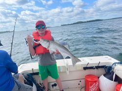One striped bass caught while fishing in Hingham