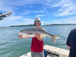 Striped bass caught in Hingham