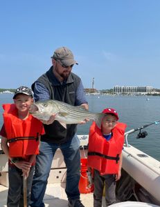 Striped bass caught on fishing tour in MA