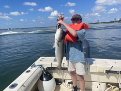 Huge Striped Bass landed while deep sea jigging!