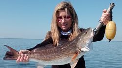 1 angler fishing at Crystal River