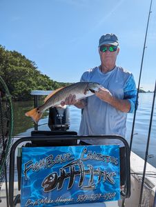 Redfish caught in Crystal River waters.