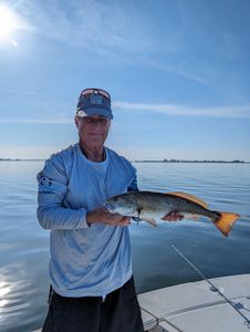 Redfish caught while fishing in FL