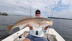 Redfish caught while fishing in Florida