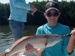 Redfish caught in Crystal River