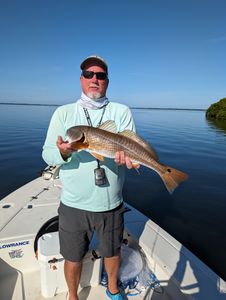 A single redfish, measuring 20 inches, caught while fishing in Crystal River.