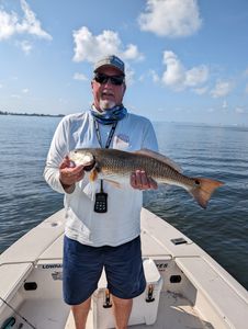 A redfish measuring 22 inches caught in Crystal River