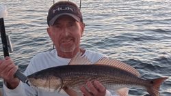 Redfish caught in FL