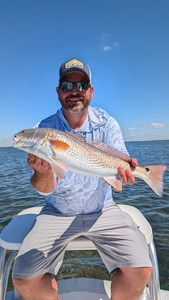 Nice redfish on fly fishing light tackle in Crystal River!