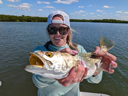 Great catch using light tackle on a perfect clear day!