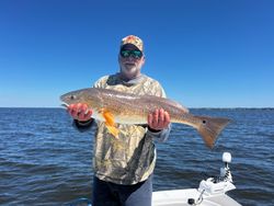 Fish-Species