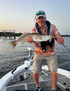 Fish-Species