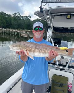 A man fishing for a large redfish in Milton