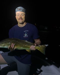 A lone angler fishing in Milton