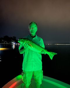 Big single fish caught on fishing trip in FL