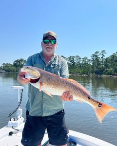 Angler holding a 31-inch fish in Florida
