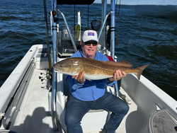 Catch of the day: a massive haul from the open waters.