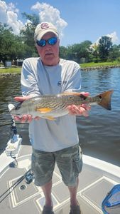 Fish-Species