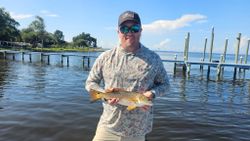 Fish-Species