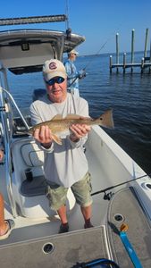 Fish-Species