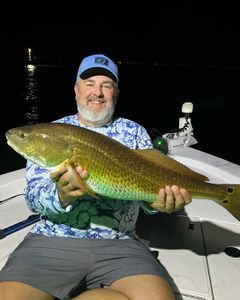 A single fisherman catching a 27-inch fish in Milton