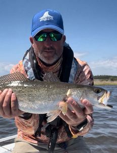 Angler fishing in Florida