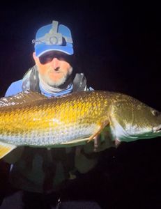 Angler fishing in Florida