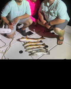 Three fishing rods with a view of the town of Milton